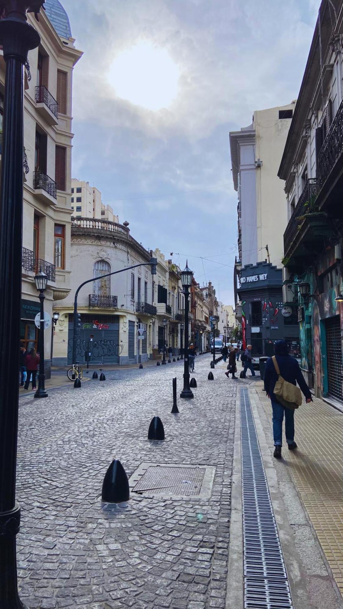 La Casa Del Loro, San Telmo - 8 Habitaciones 부에노스아이레스 외부 사진