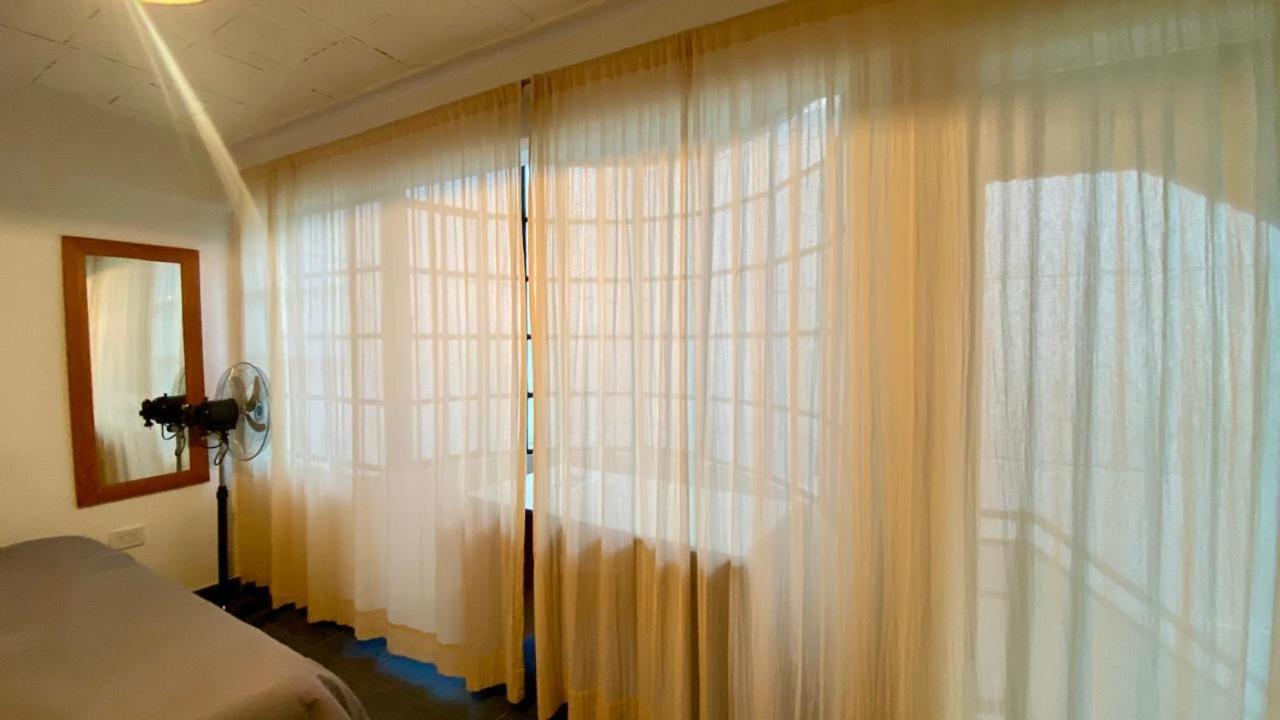 La Casa Del Loro, San Telmo - 8 Habitaciones 부에노스아이레스 외부 사진
